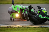 PJ-Motorsport-2019;anglesey-no-limits-trackday;anglesey-photographs;anglesey-trackday-photographs;enduro-digital-images;event-digital-images;eventdigitalimages;no-limits-trackdays;peter-wileman-photography;racing-digital-images;trac-mon;trackday-digital-images;trackday-photos;ty-croes